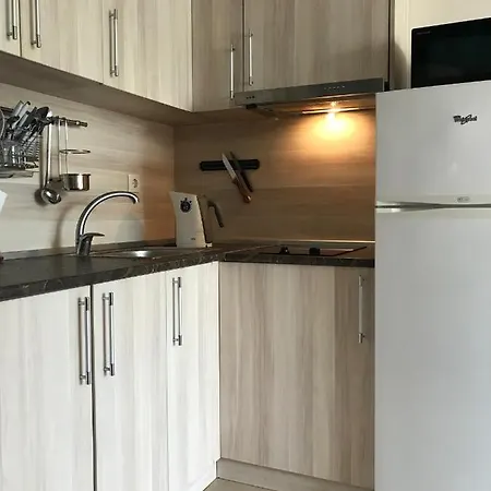 아파트 Lilac Garden Apartments 네세부르